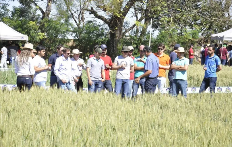 Unopar promove Dia de Campo: imersão na cultura da soja 