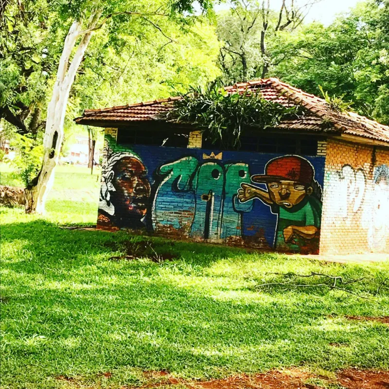 Imagem ilustrativa da imagem A CIDADE FALA - Grafitti no Centro Social Urbano