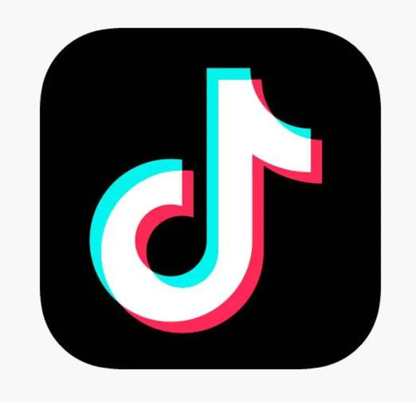 Imagem ilustrativa da imagem A febre do TikTok invadiu a internet