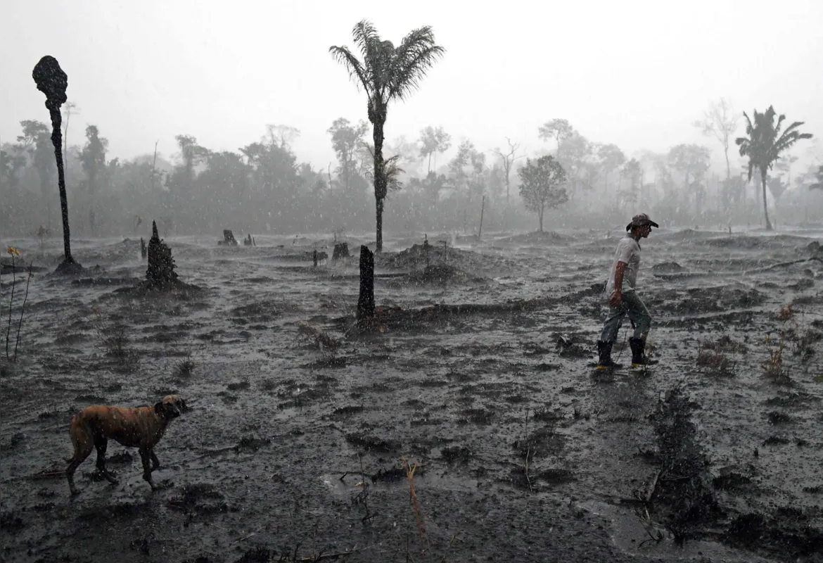 Em 2019, a destruição da floresta bateu o recorde da década e superou a marca simbólica de 10.000 km² de mata devastada