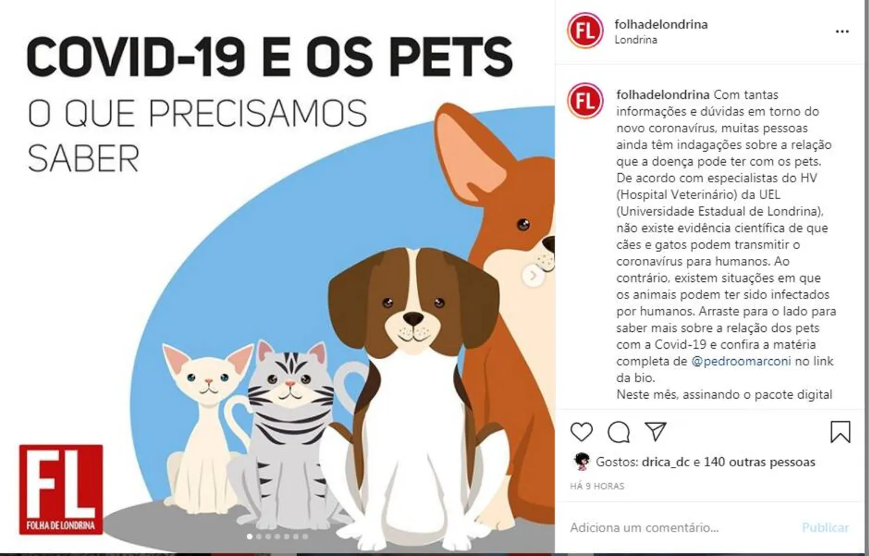 Imagem ilustrativa da imagem Animais de estimação e coronavírus