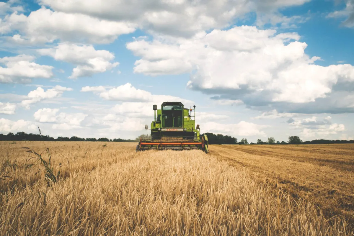 Imagem ilustrativa da imagem BRDE terá R$ 460 milhões para financiar safra agrícola paranaense
