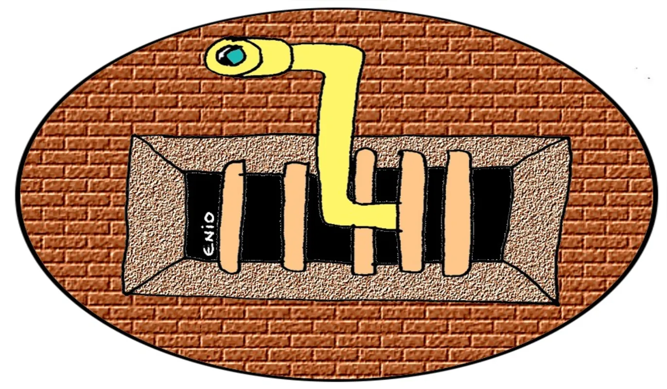 Imagem ilustrativa da imagem Bolsonaro faz o que pregava: toma cloroquina