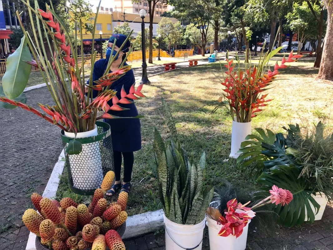 Mesmo sendo as flores presentes "tradicionais" no Dia das Mães, a produtora Lucimara Silveira avalia que as vendas deste ano serão baixas
