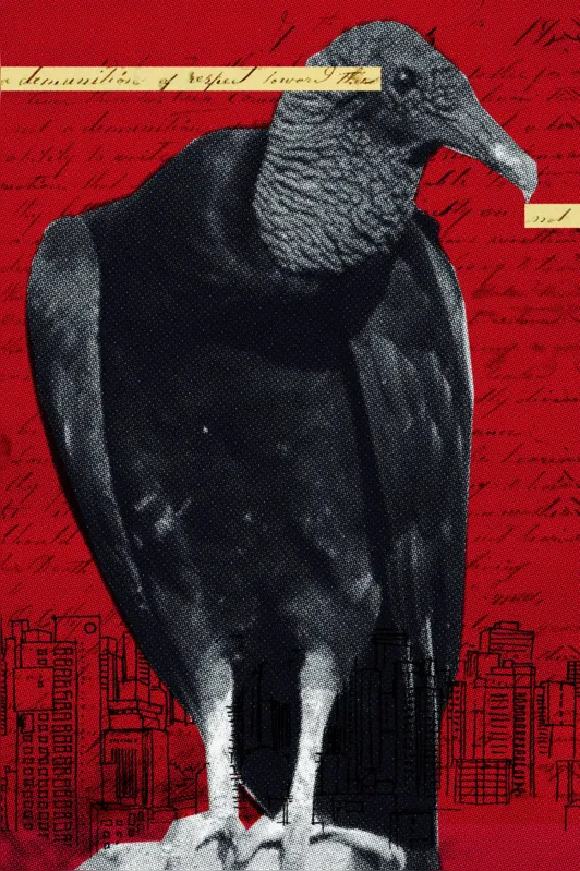 Imagem ilustrativa da imagem Carta aos urubus