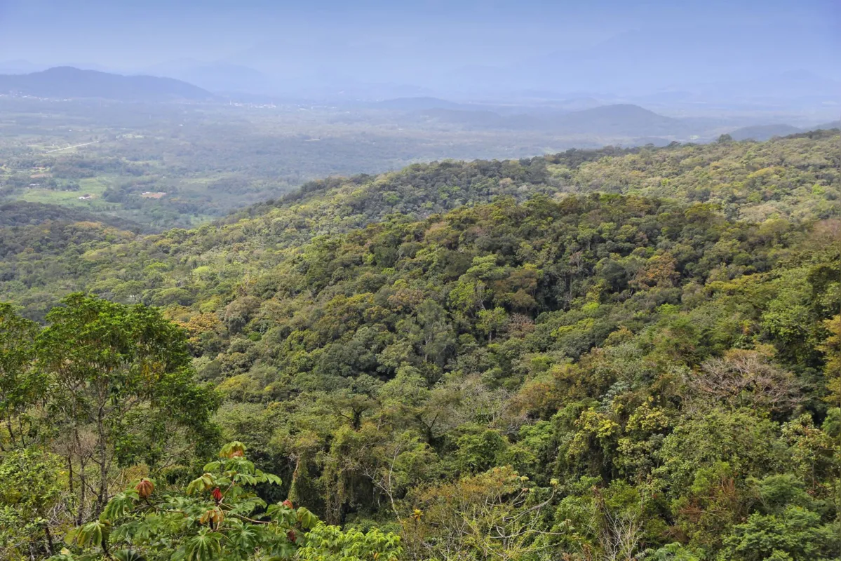 Iniciativa da Fundação Grupo Boticário vai mapear cenário de empreendedorismo sustentável para dar visibilidade e alavancar negócios que beneficiem a biodiversidade da Mata Atlântica 