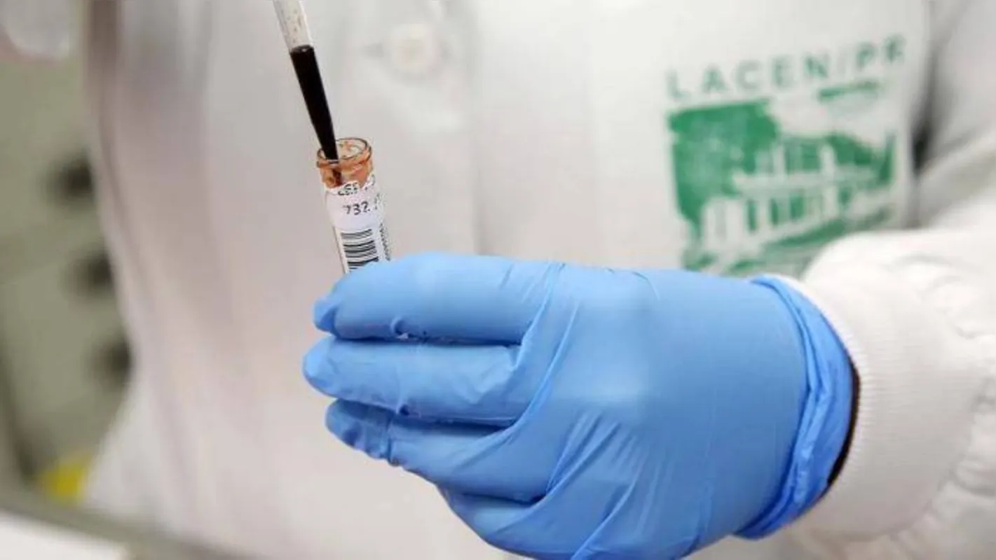 Imagem ilustrativa da imagem Com 598 novas mortes por Covid-19, Brasil supera 43 mil óbitos, mostra consórcio de imprensa