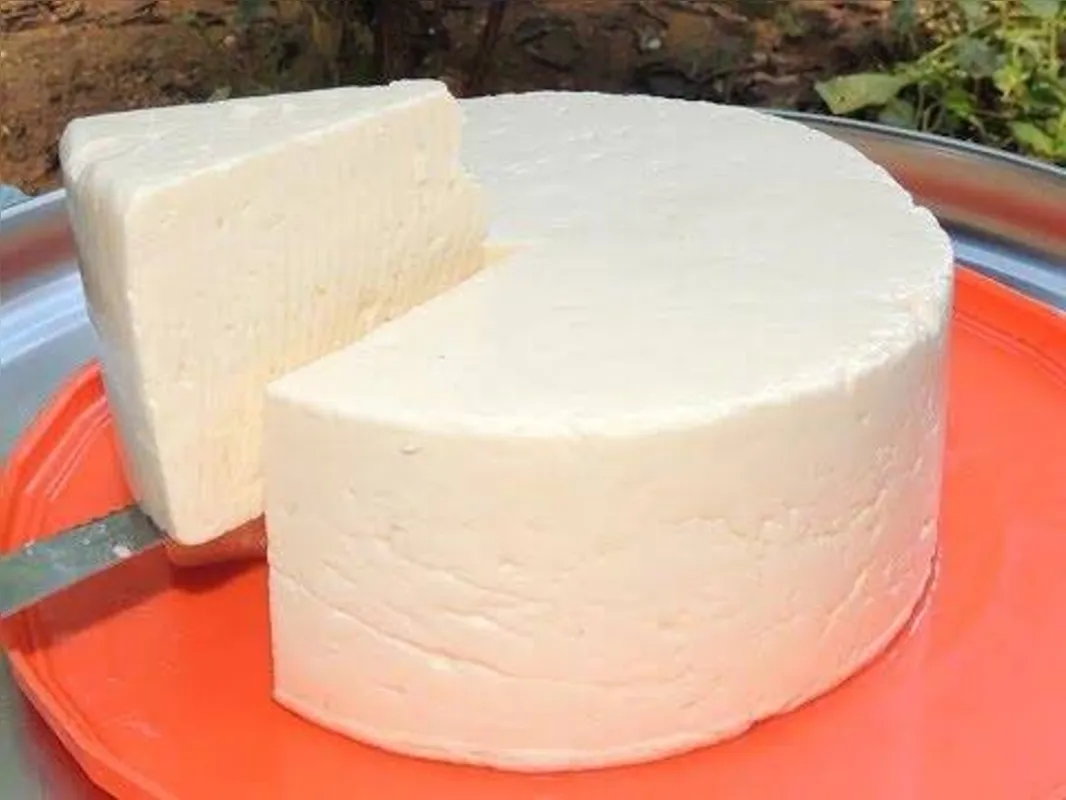 Queijo magro, fresco e saboroso integra mix da cantina