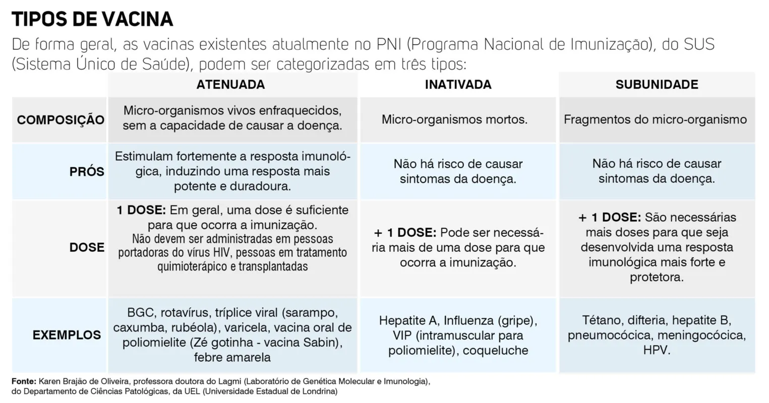 Imagem ilustrativa da imagem Como é o processo de desenvolvimento de uma vacina?