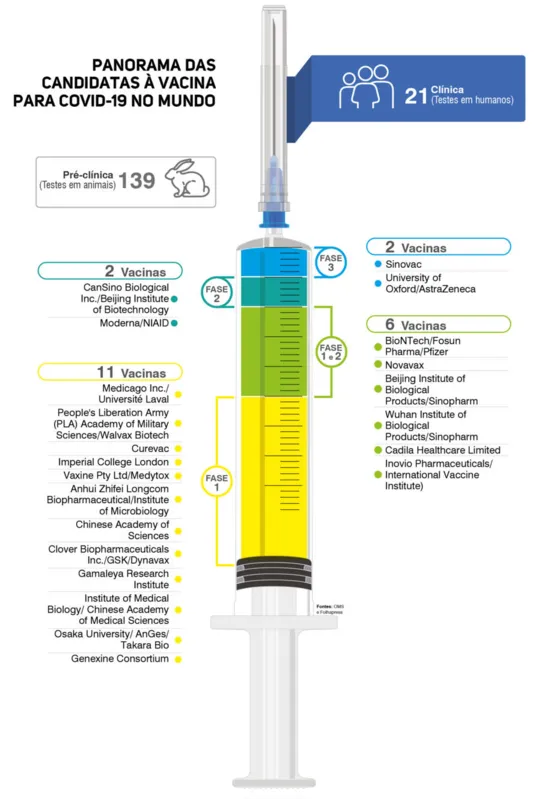 Imagem ilustrativa da imagem Como é o processo de desenvolvimento de uma vacina?