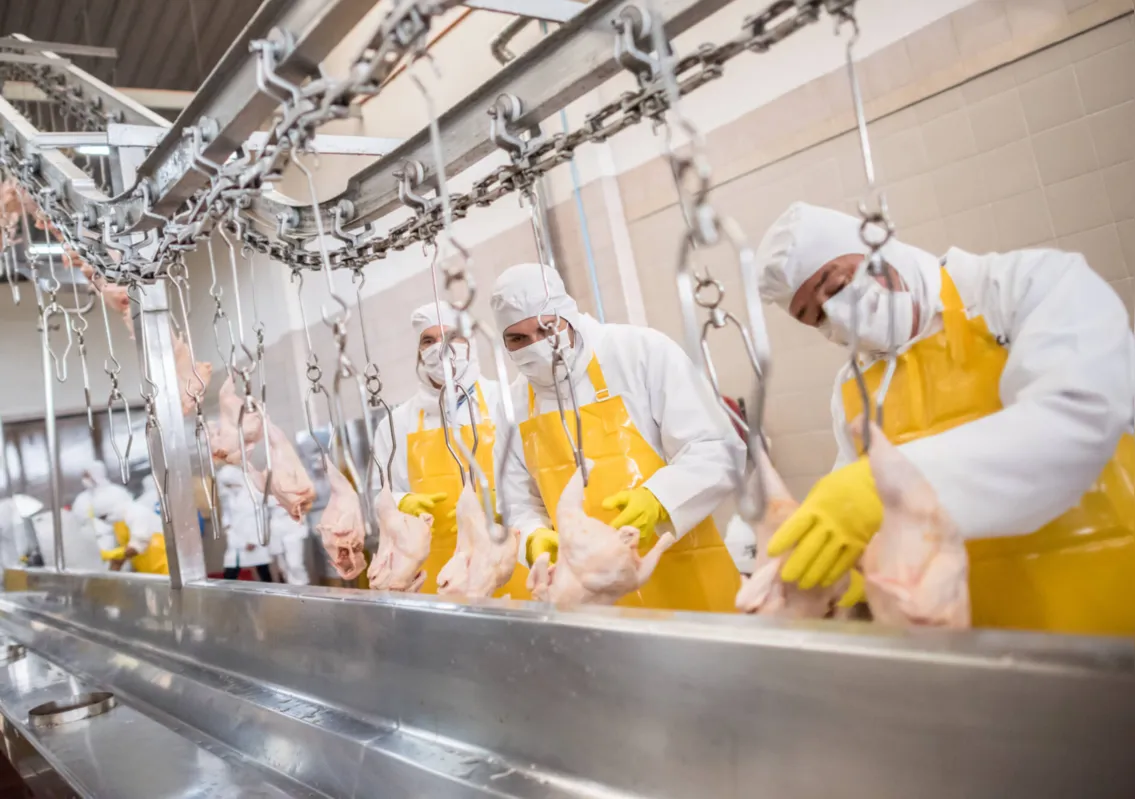 Mesmo com a pandemia, nos primeiros quatro meses de 2020 o setor de frigoríficos no Brasil ganhou fôlego com alta nas exportações