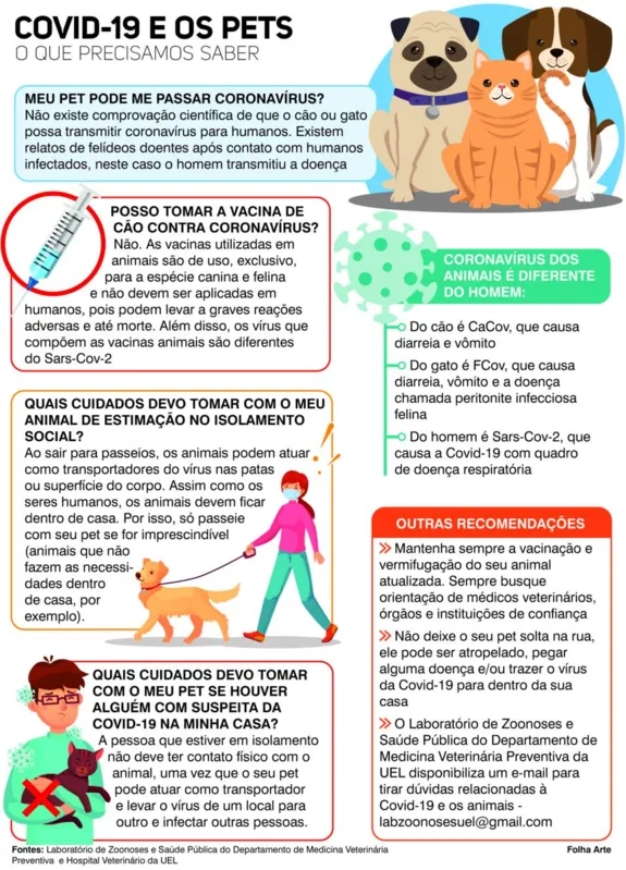 Imagem ilustrativa da imagem Coronavírus em animais é diferente dos humanos