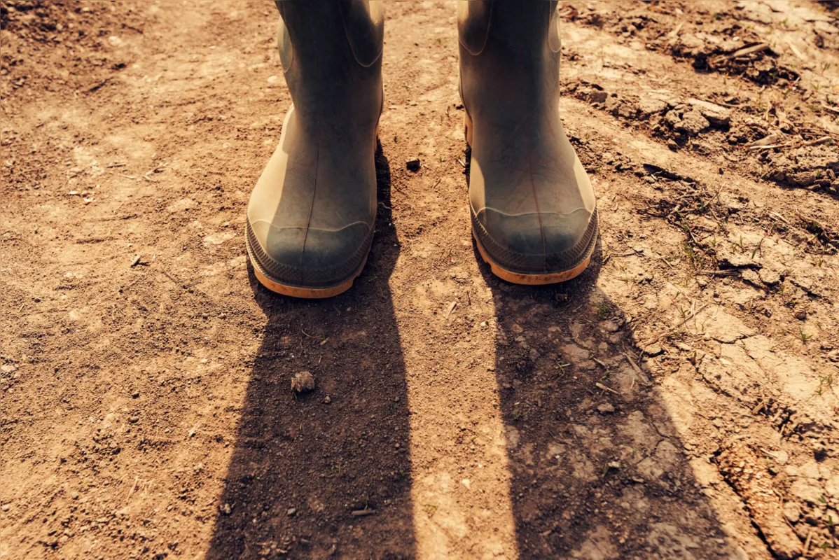 Uma das recomendações é que o trabalhador rural troque as botas de couro por botas de borracha, que facilitam a limpeza