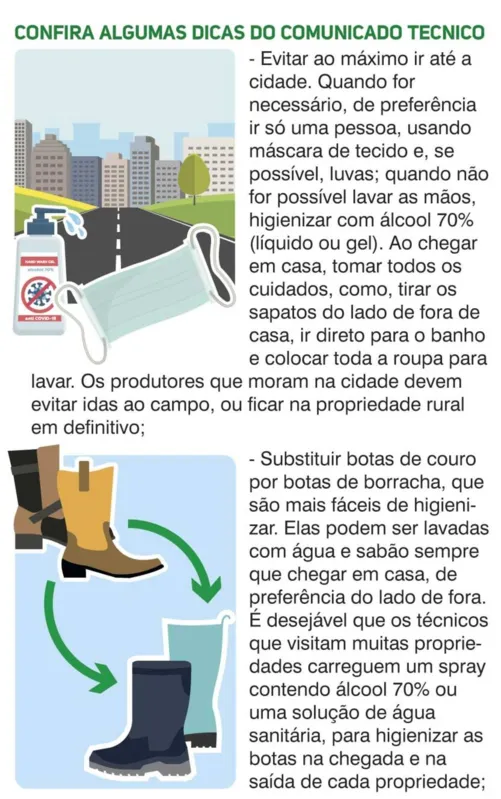 Imagem ilustrativa da imagem Covid- 19: Embrapa lança cartilha para produtores do sul