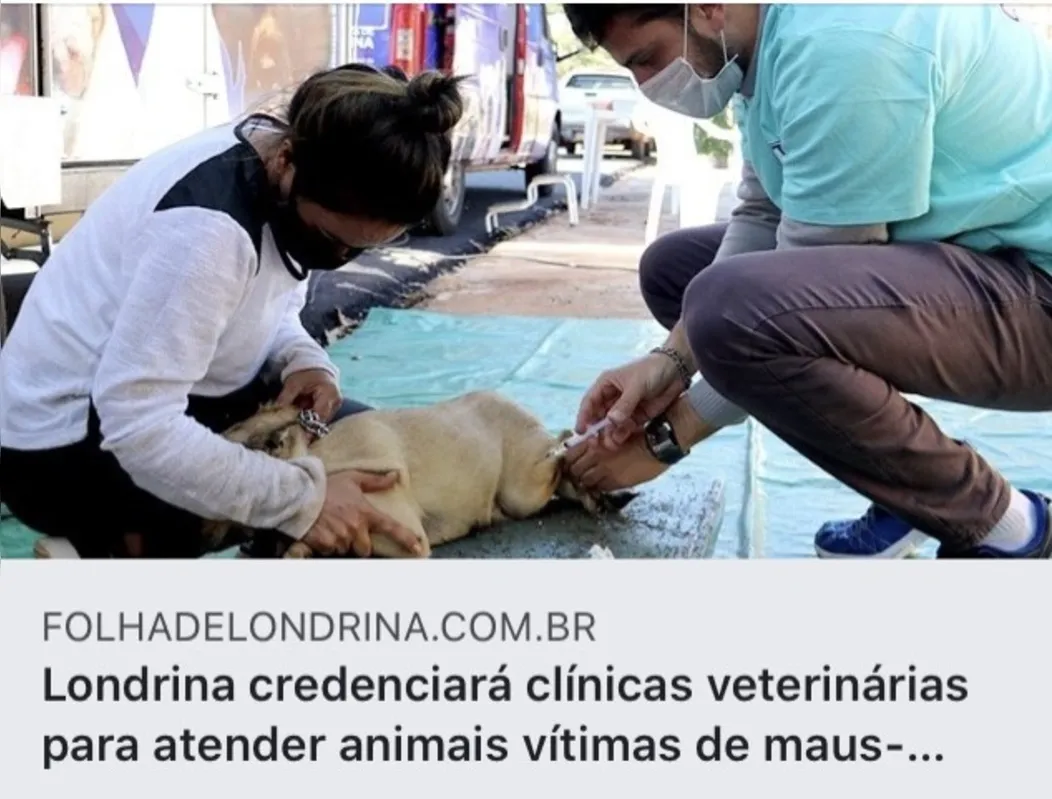 Imagem ilustrativa da imagem Cuidados com os animais