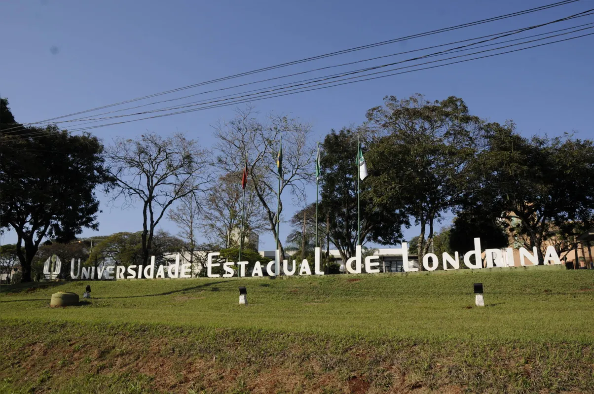 Imagem ilustrativa da imagem Direito da UEL faz campanha em prol de famílias carentes