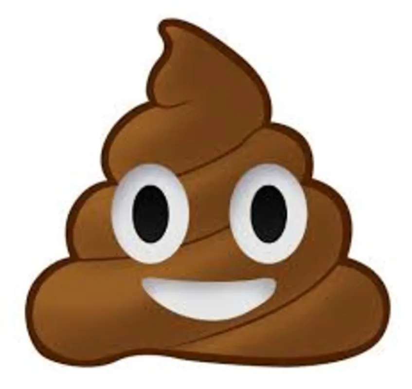 Imagem ilustrativa da imagem ESPECIAL EMOJIS |  Paixão Digital: Você sabia que dia 17 de julho é o Dia Mundial dos Emojis?