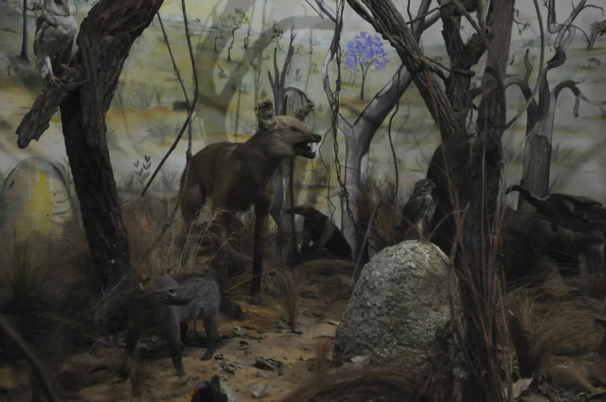 Imagem ilustrativa da imagem Estação da natureza em Cornélio Procópio
