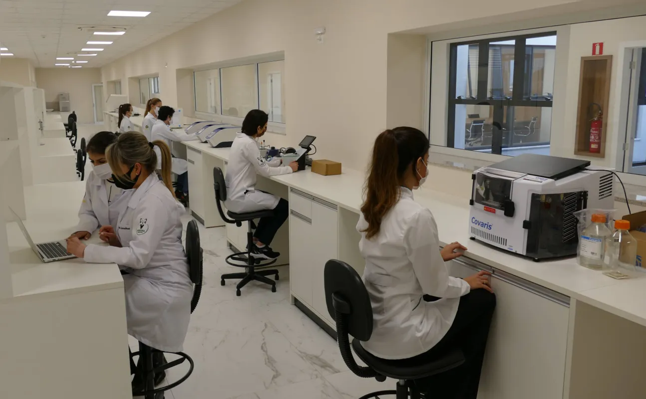 Imagem ilustrativa da imagem Estudo genômico no Paraná reúne 80 pesquisadores contra a Covid-19
