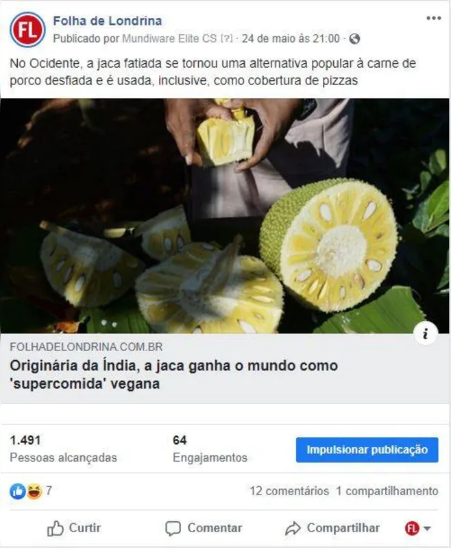 Imagem ilustrativa da imagem Folha nas Redes - A Jaca