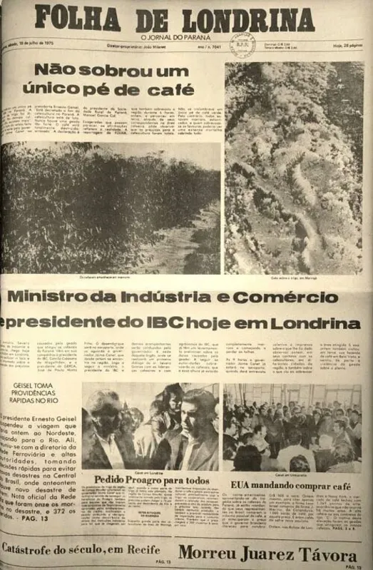 A manchete do dia seguinte apontava a destruição dos cafezais