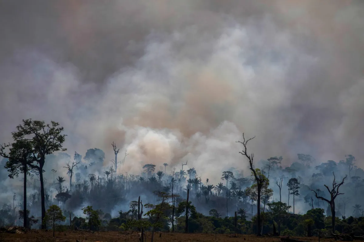 Queimada na região de Altamira, no Pará: Brasil sob pressão 