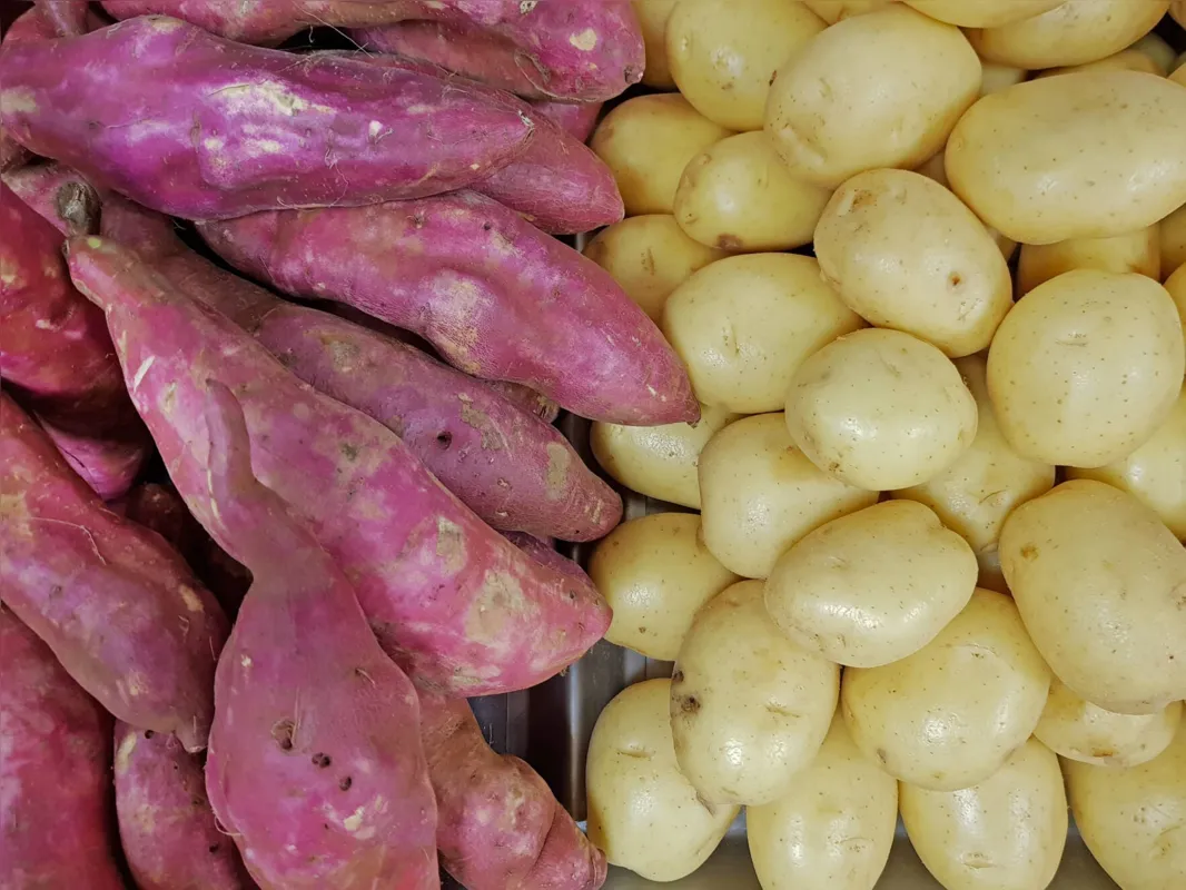 Imagem ilustrativa da imagem Nutricionistas dão dicas de quais ingredientes são mais saudáveis no dia a dia