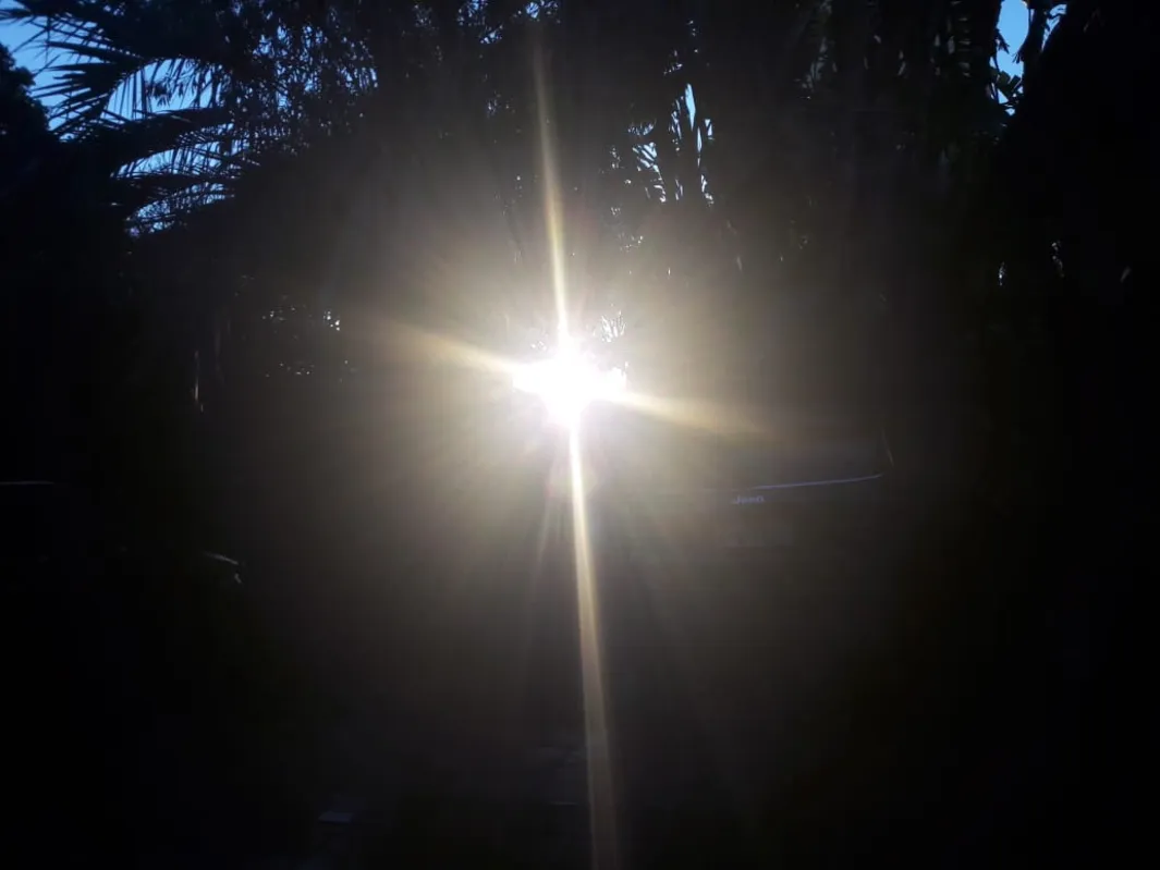 Imagem ilustrativa da imagem O sol brinca de esconde-esconde