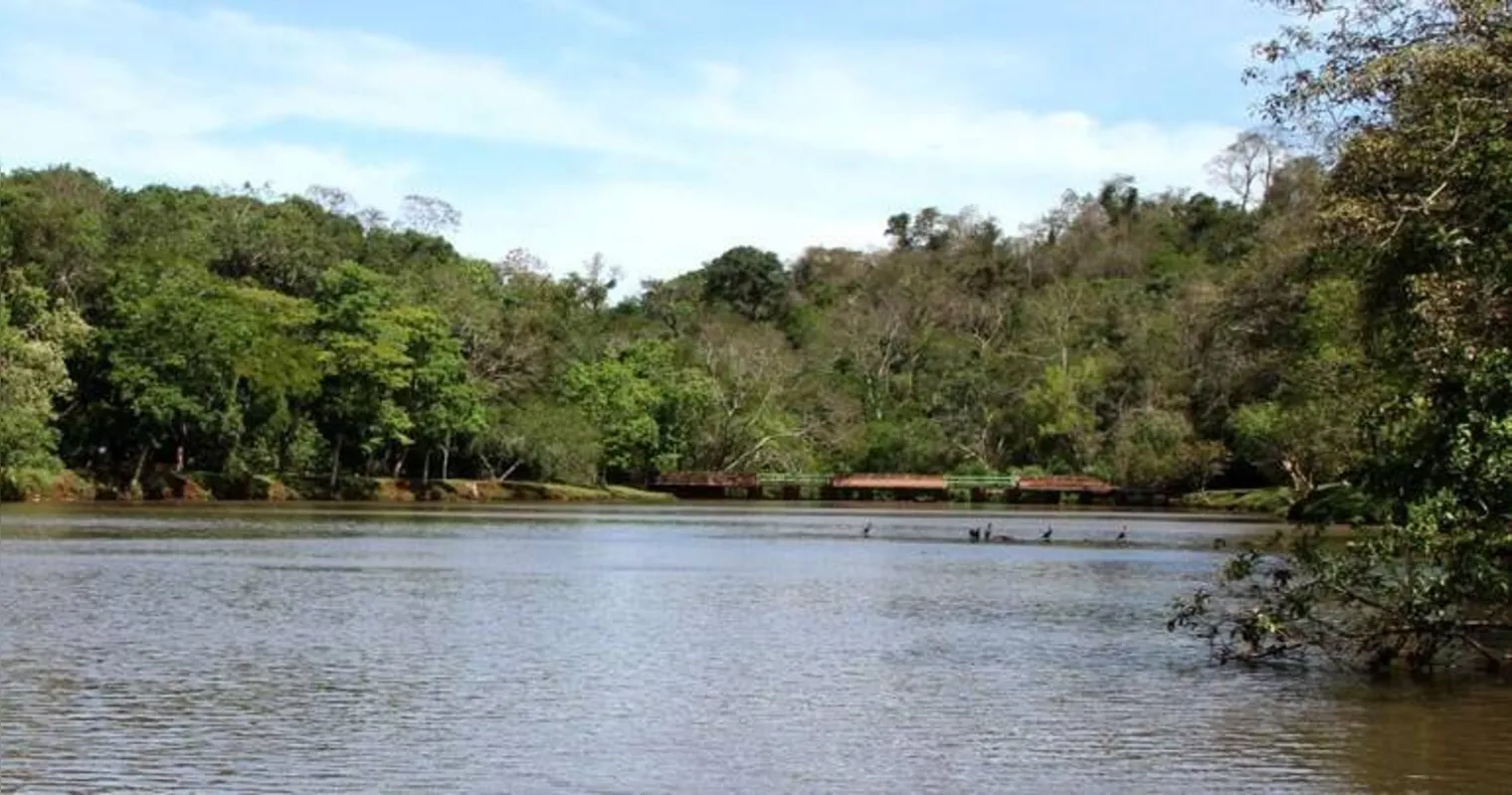 Imagem ilustrativa da imagem Parque Arthur Thomas será revitalizado com verba do fundo do ambiente