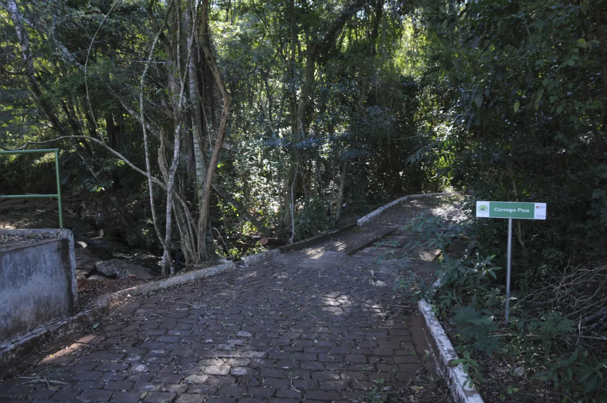 Imagem ilustrativa da imagem Parque Arthur Thomas será revitalizado com verba do fundo do ambiente