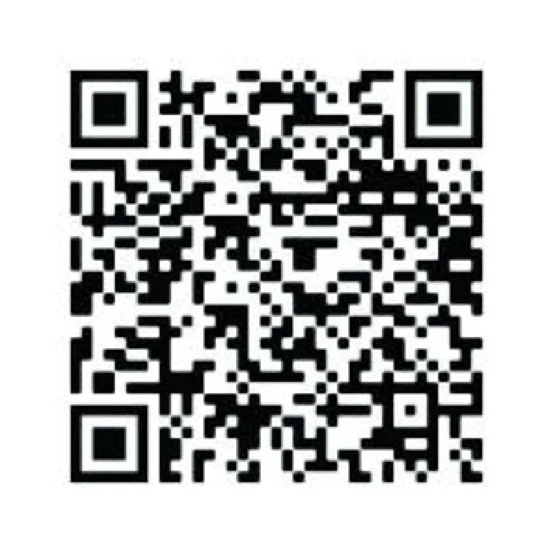 Imagem ilustrativa da imagem QR Berenice