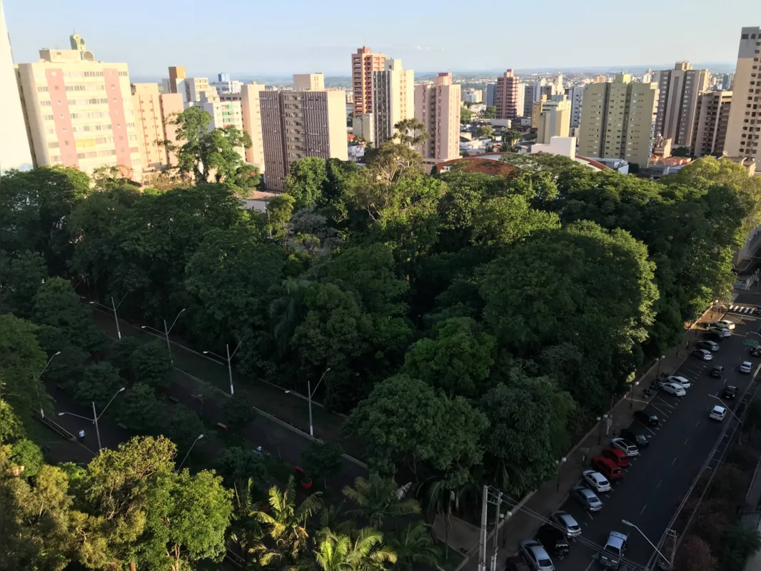 Imagem ilustrativa da imagem Segunda fase de revitalização do Bosque de Londrina terá R$ 2 milhões