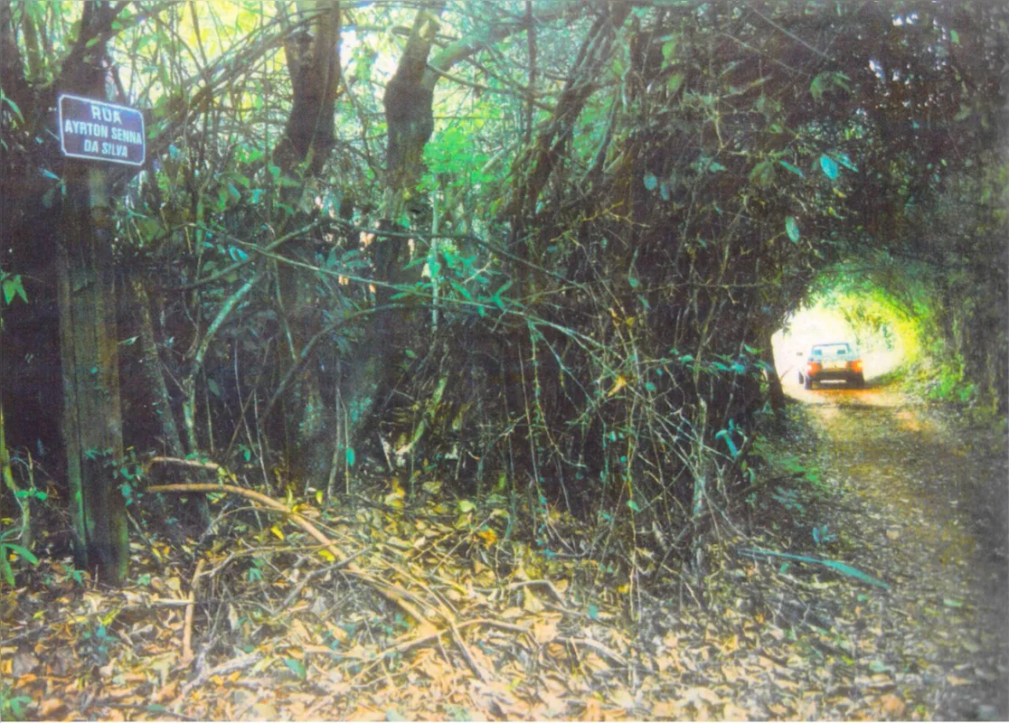 'Túnel do Amor", no alto da Gleba Palhano em 1998