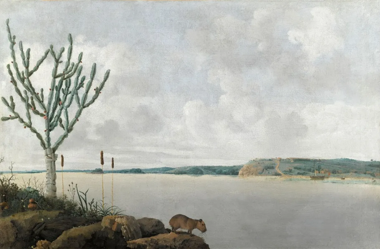Pintura do Rio São Francisco por Frans Post (1635) Museu do Louvre (França)