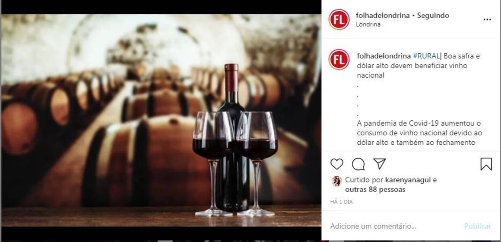 Imagem ilustrativa da imagem Vinho nacional
