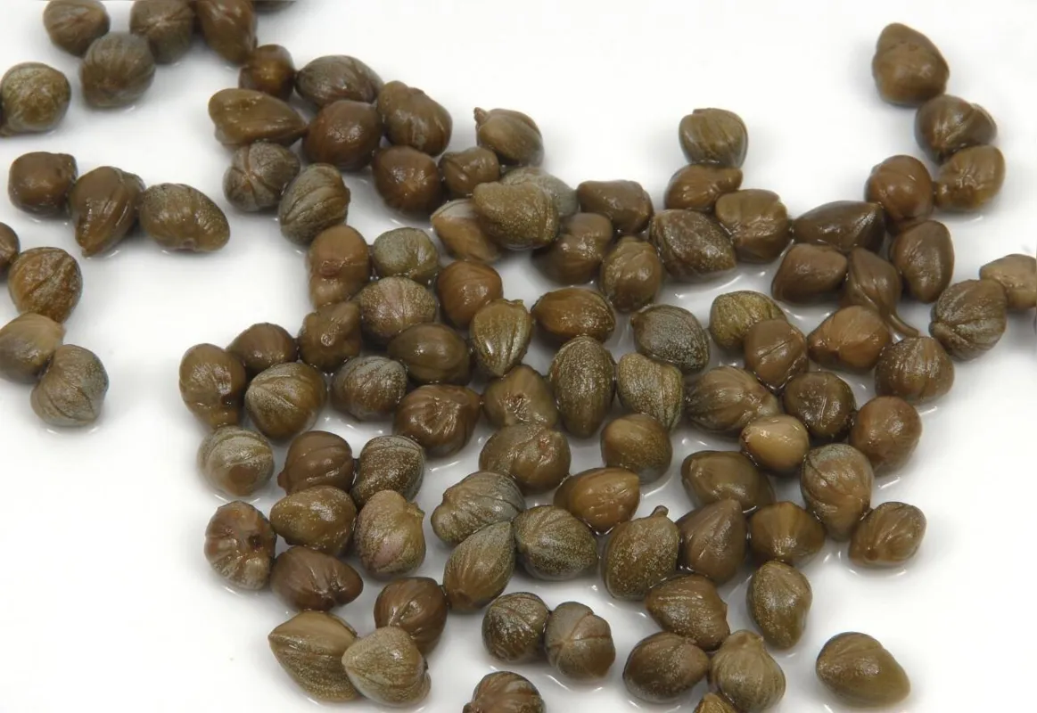 Alcaparras vão bem com peixes e outro alimentos