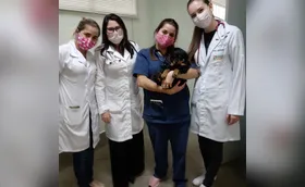 Frio exige mais cuidados com animais