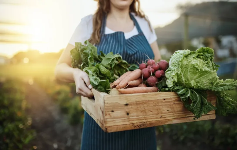 Produtores de orgânicos encontraram formas alternativas de entregar os alimentos para os consumidores 