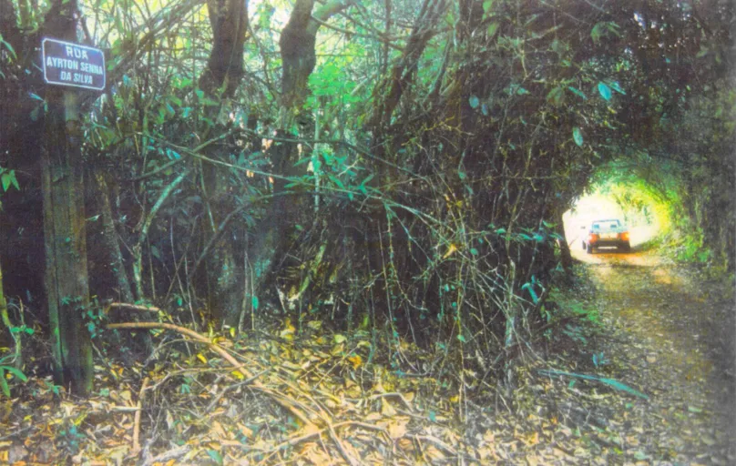'Túnel do Amor", no alto da Gleba Palhano em 1998