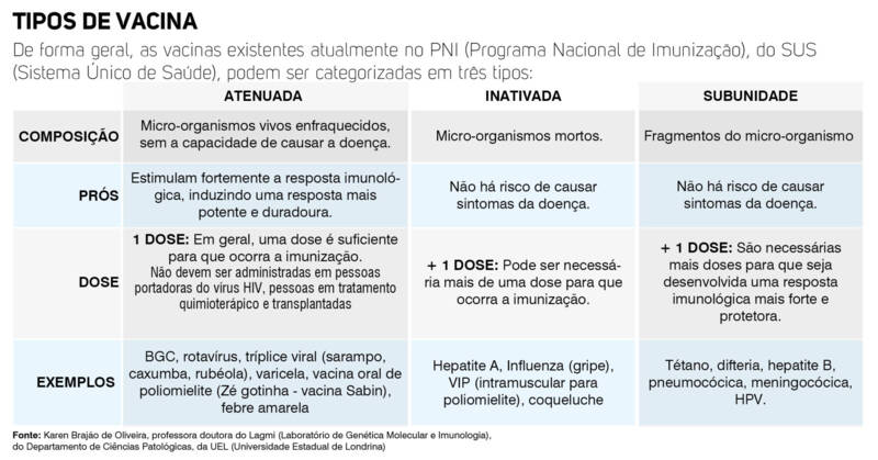 Como é o processo de desenvolvimento de uma vacina?