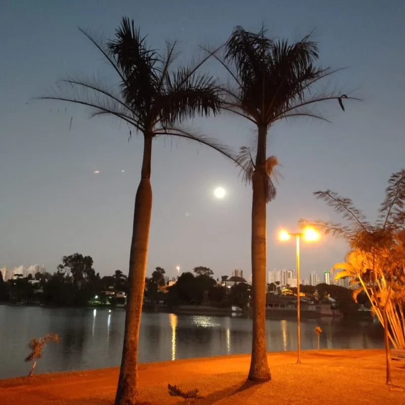 Imagem ilustrativa da imagem Amanhecer