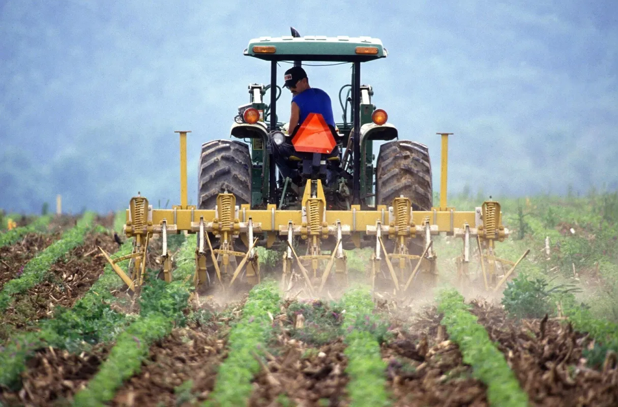 Imagem ilustrativa da imagem Auxílio emergencial de R$ 600 a pequenos agricultores vai à sanção