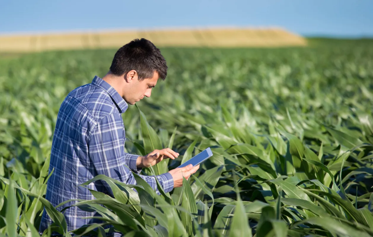 Sobre a nova geração de agricultores, pesquisa apontou que 26% dos jovens têm superior completo