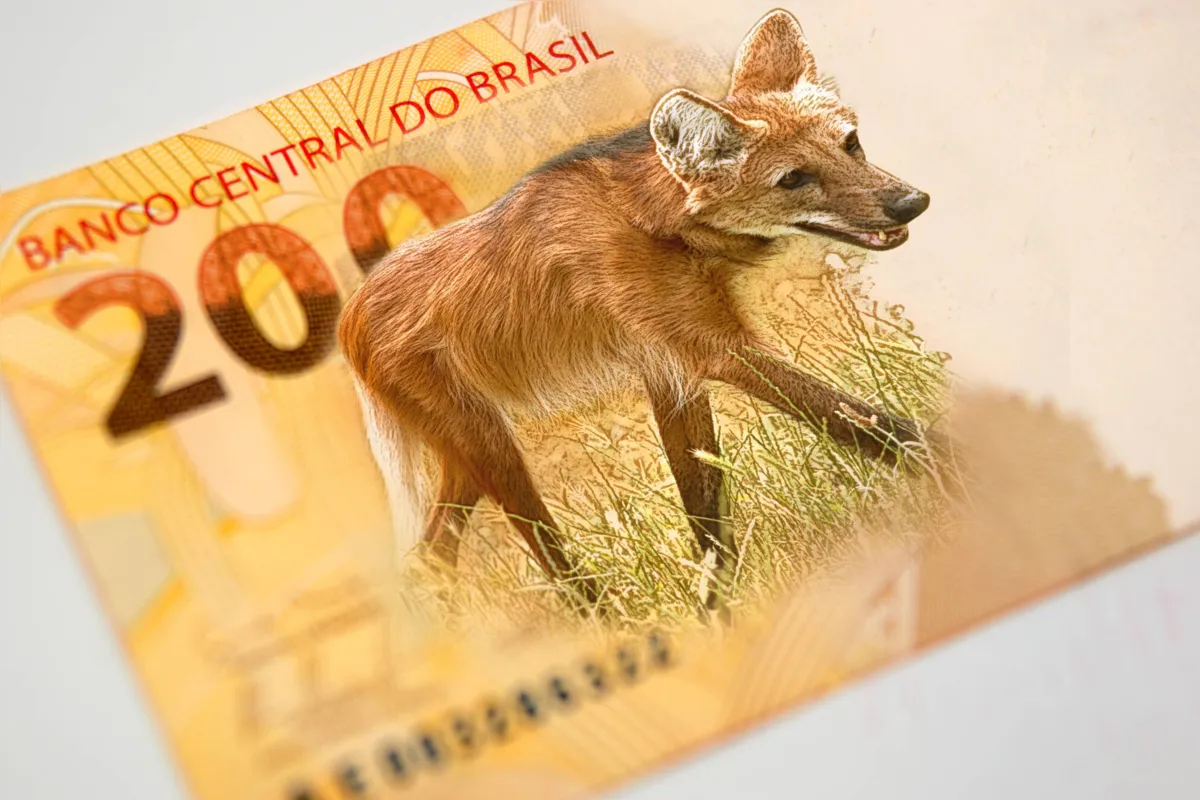 Imagem fictícia - Fotomontagem Folha Arte