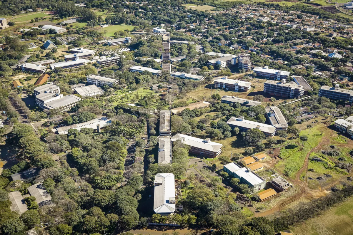 Imagem ilustrativa da imagem Graduação da UEM voltará às aulas remotamente em 17 agosto