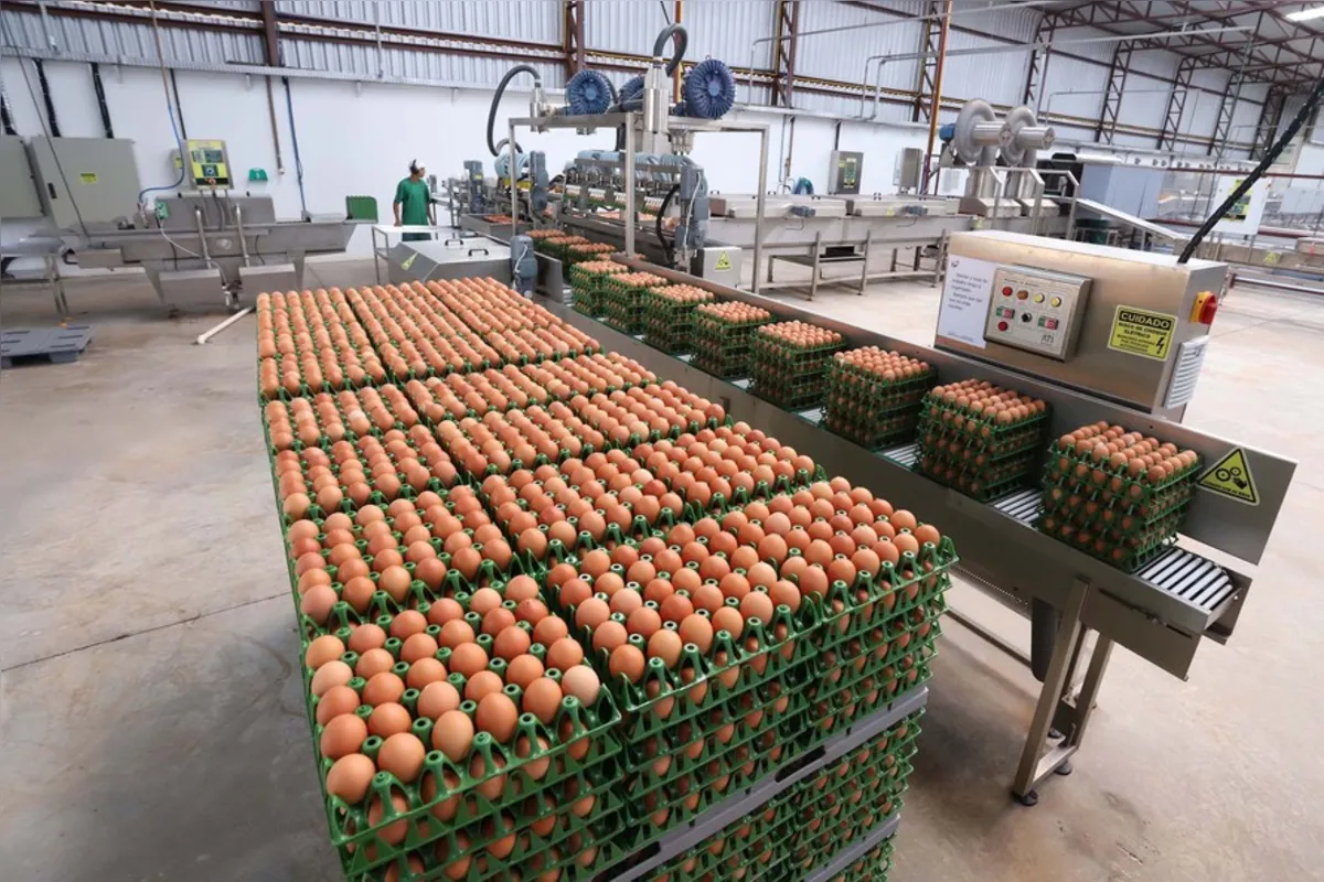 Imagem ilustrativa da imagem Indústria de alimentos opera em 97% e vendas crescem no Paraná
