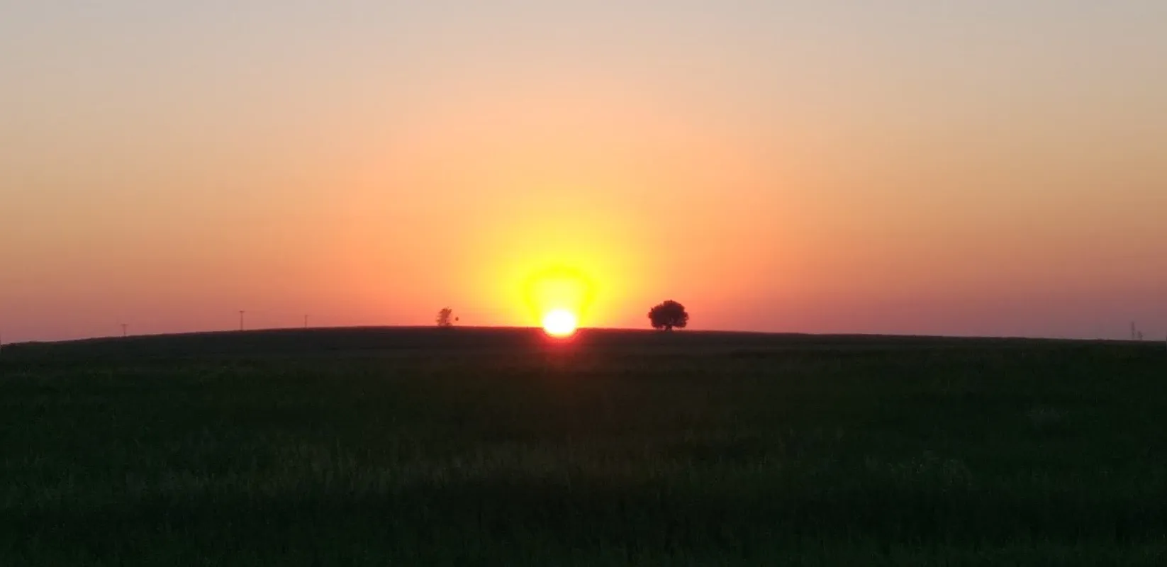 Imagem ilustrativa da imagem Sol na zona leste