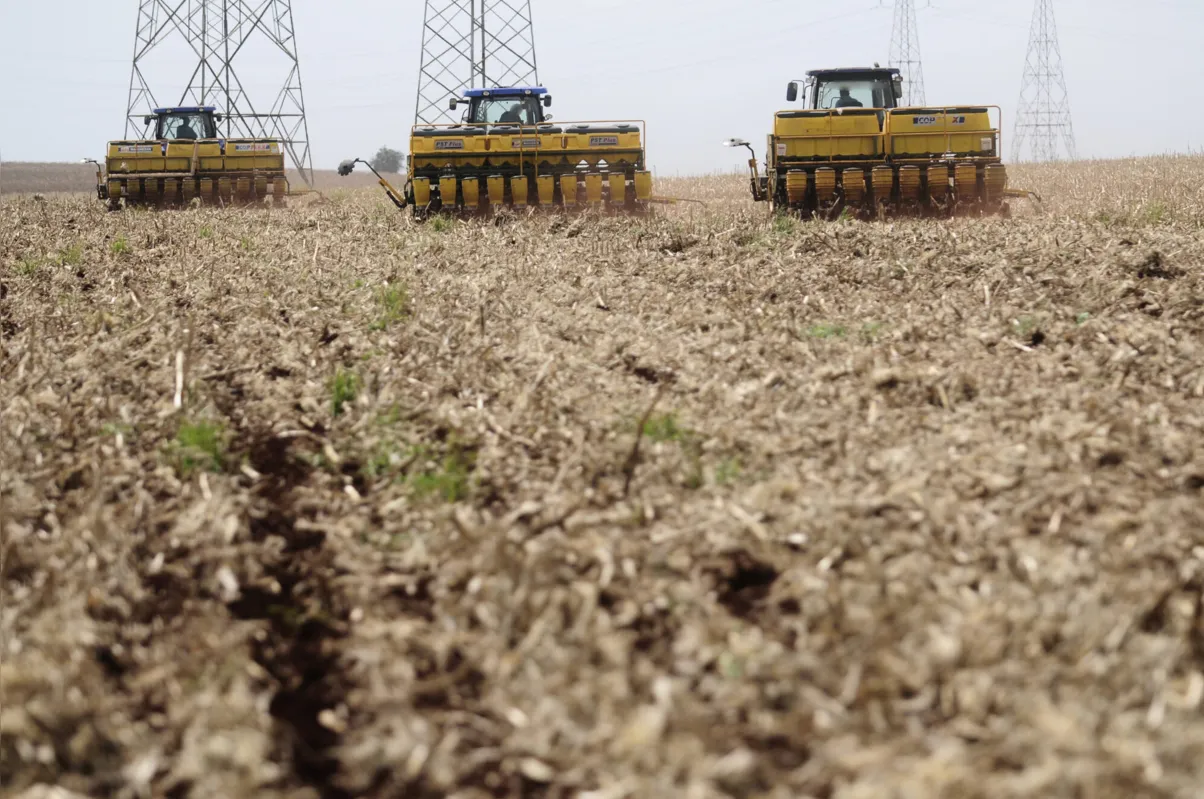 Especialistas explicam que contribui positivamente para o resultado a diversificação característica da agropecuária paranaense