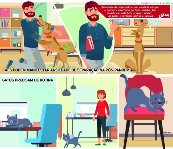Imagem ilustrativa da imagem Cães e gatos reagem diferente durante a pandemia; saiba como