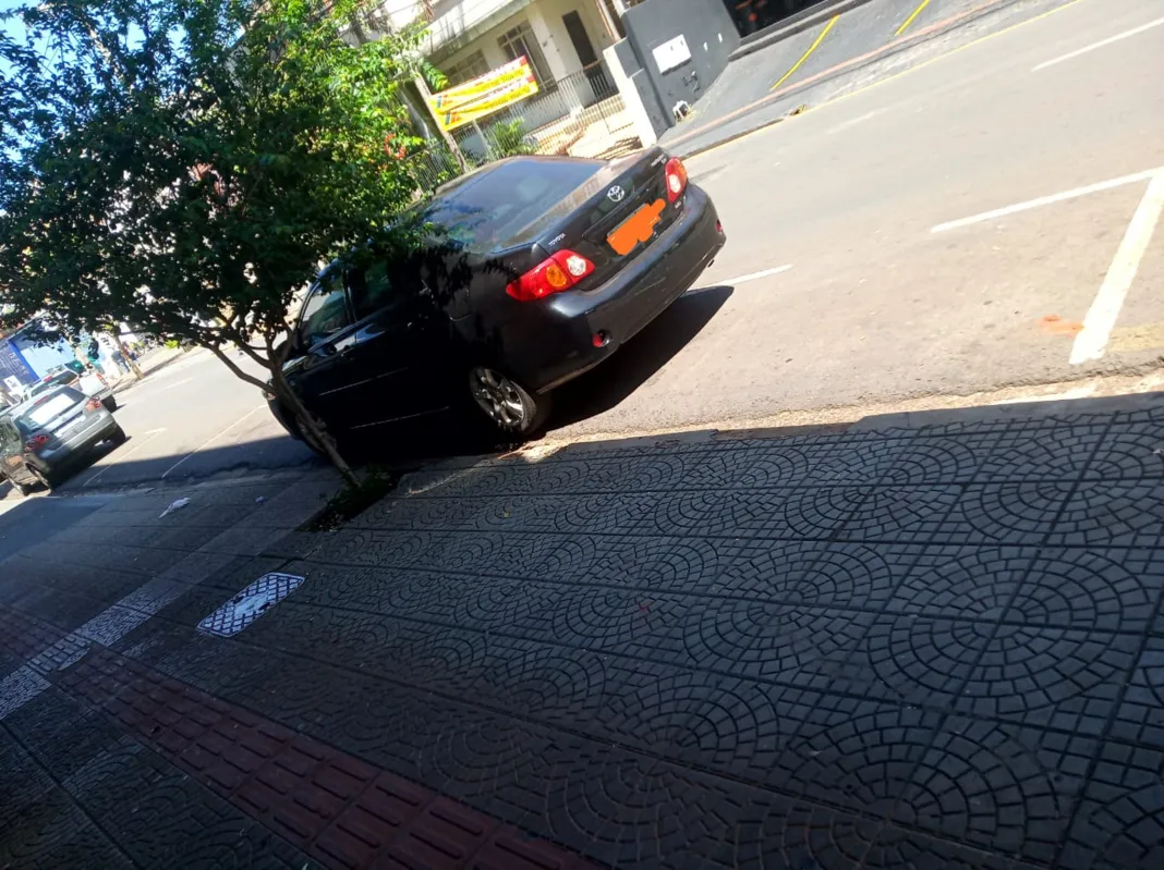 Imagem ilustrativa da imagem A CIDADE FALA | O Rei da rua